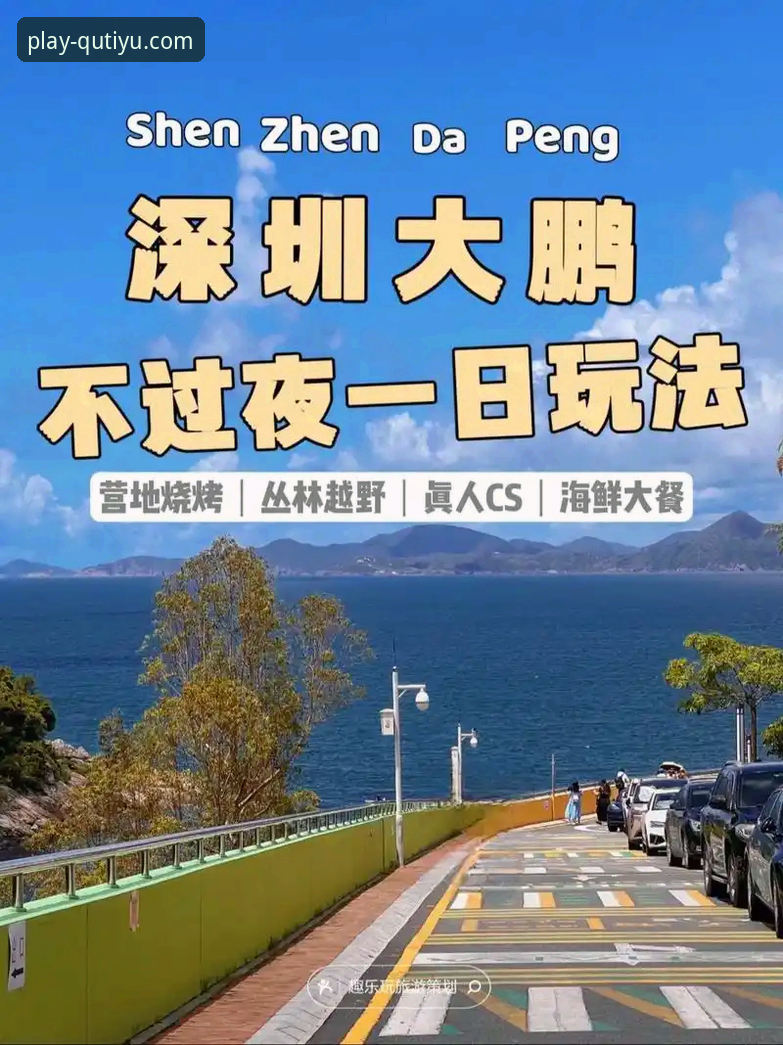 趣体育官方平台全面解析：如何安全获取官方链接与深度体验指南